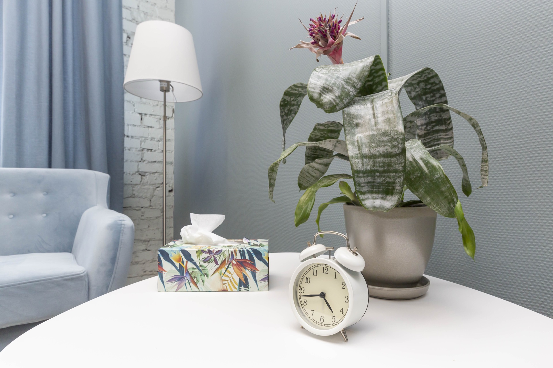 Голубой кабинет №15